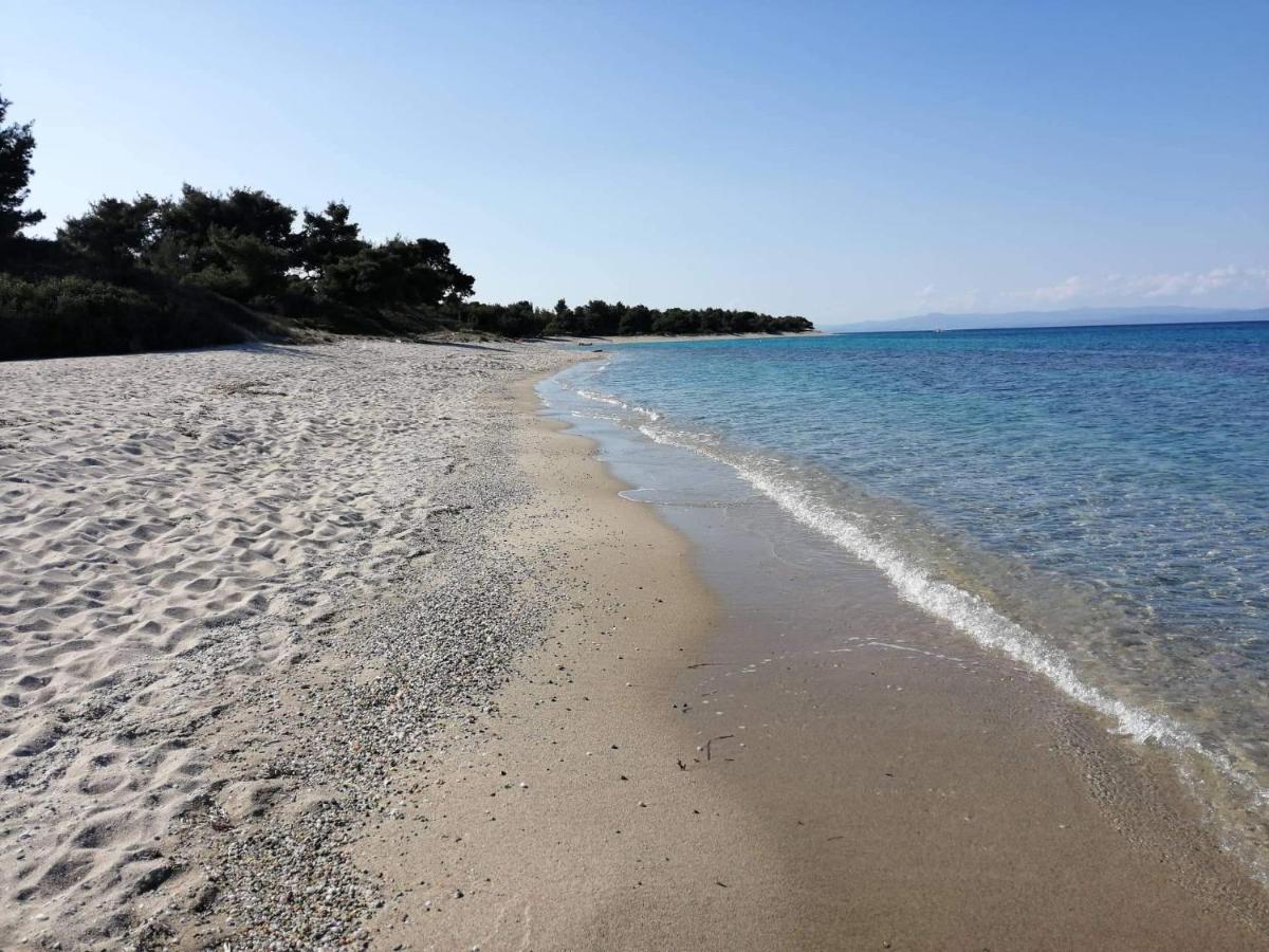 Seagull Villa Chalkidiki Pefkochori Dış mekan fotoğraf